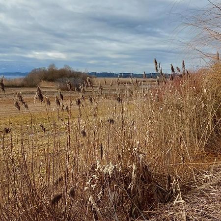 Marxhof Seebruck Am Chiemsee Seeon-Seebruck Buitenkant foto
