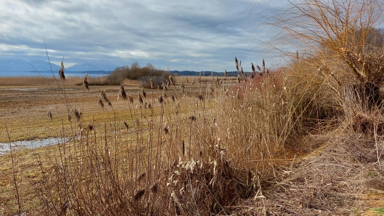 Marxhof Seebruck Am Chiemsee Seeon-Seebruck Buitenkant foto